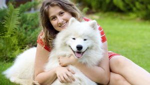 Race de chien à adopter