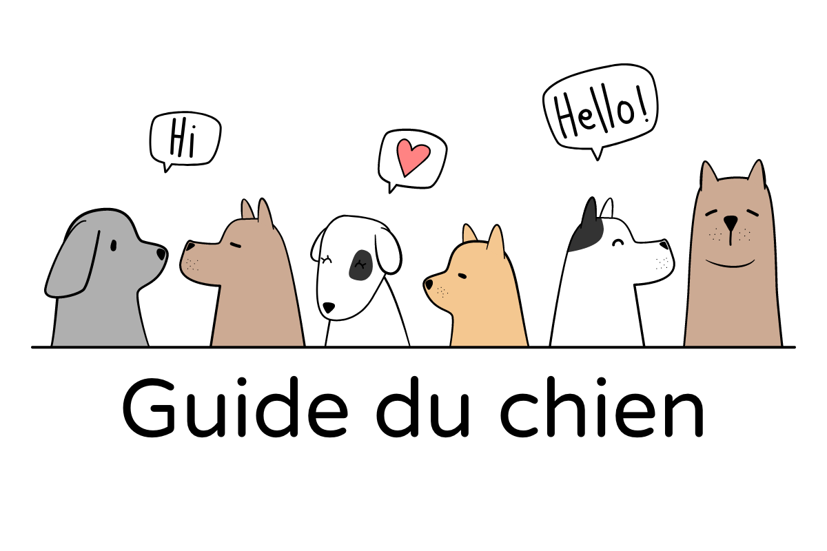Guide du chien